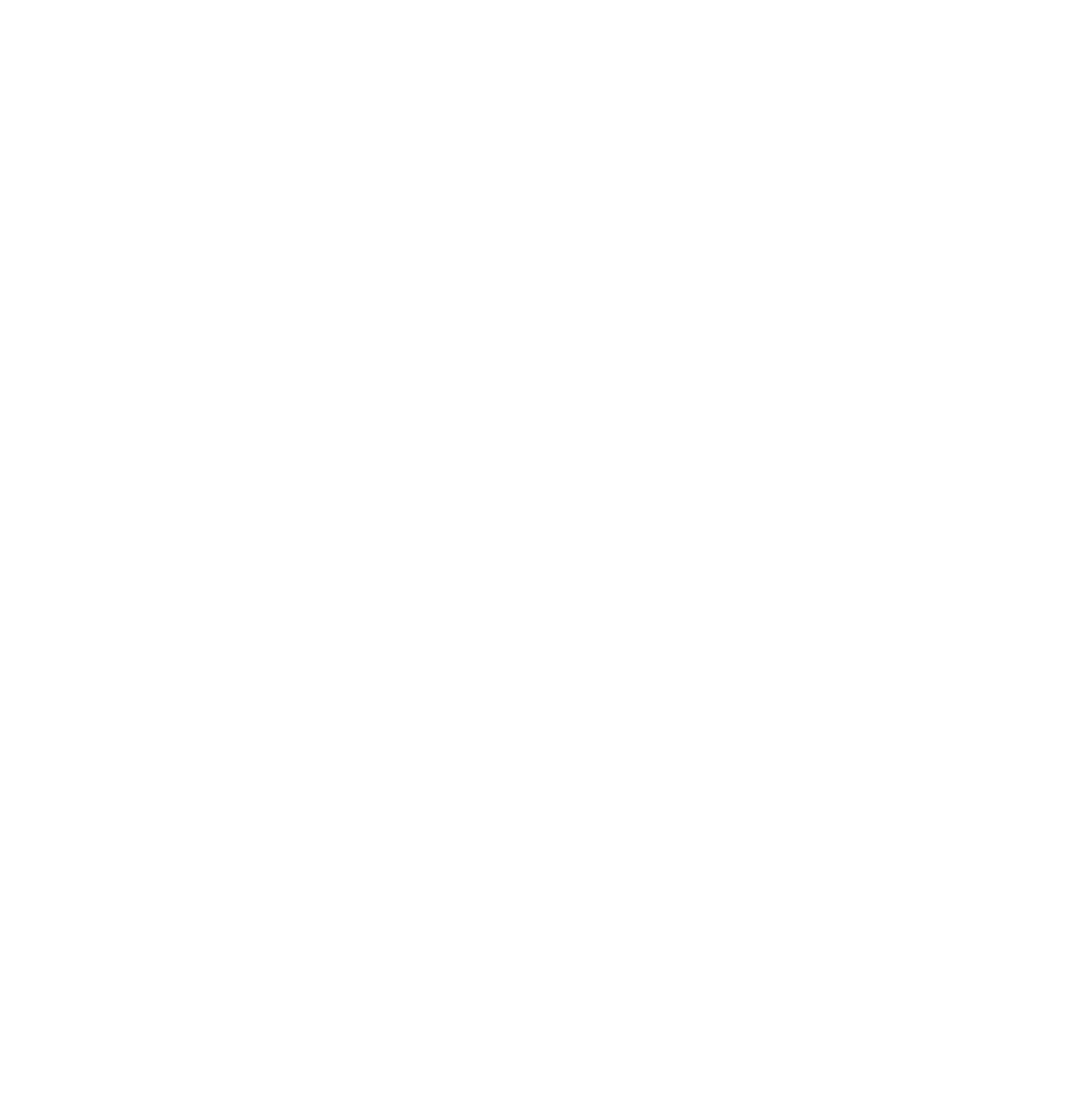 pej gruppen logo hvit